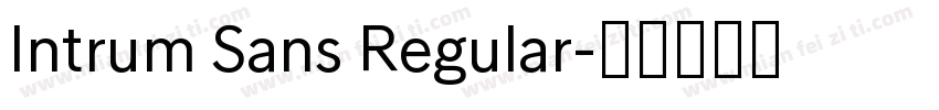 Intrum Sans Regular字体转换